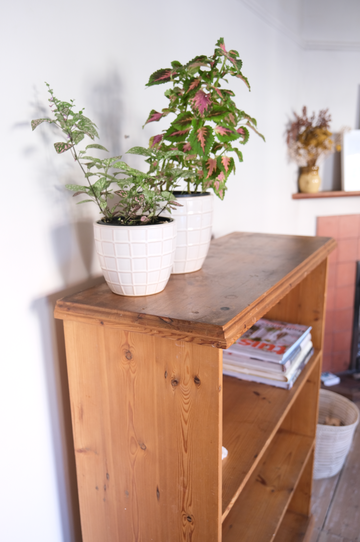 Pine wood bookshelf