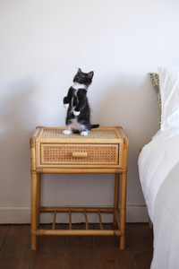 Pair of cane bed side tables