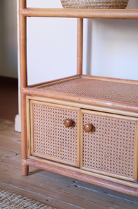 Cane display shelf