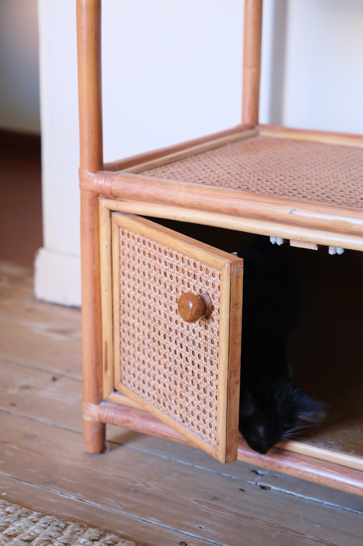 Cane display shelf