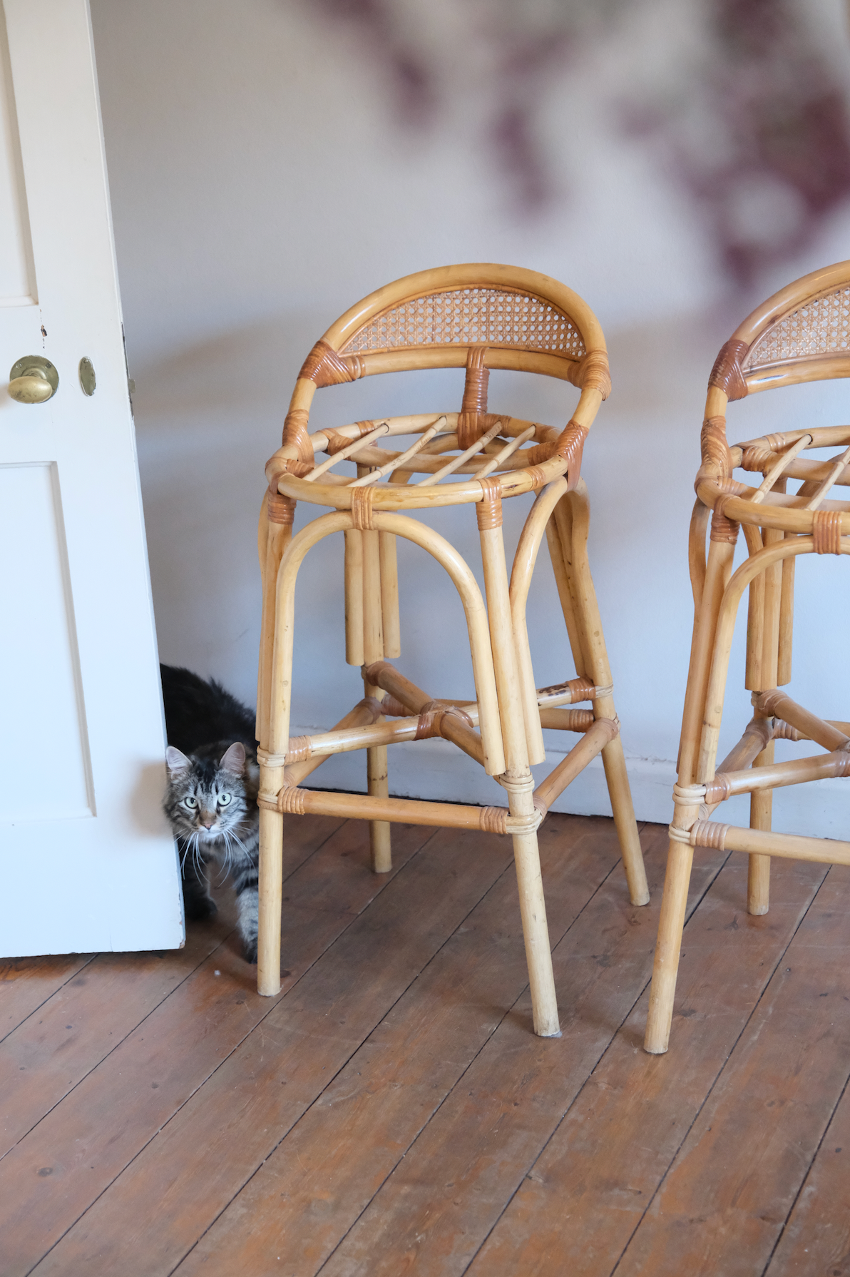 Four beautiful cane bar stools