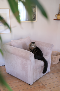 Cream velvet corduroy cuddle chair