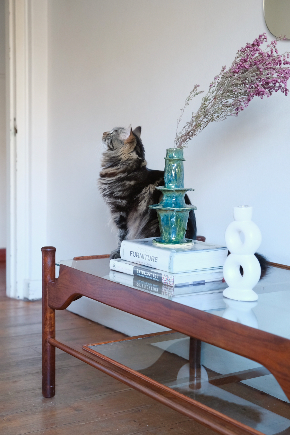 Mid-Century Modern Imbuia coffee table