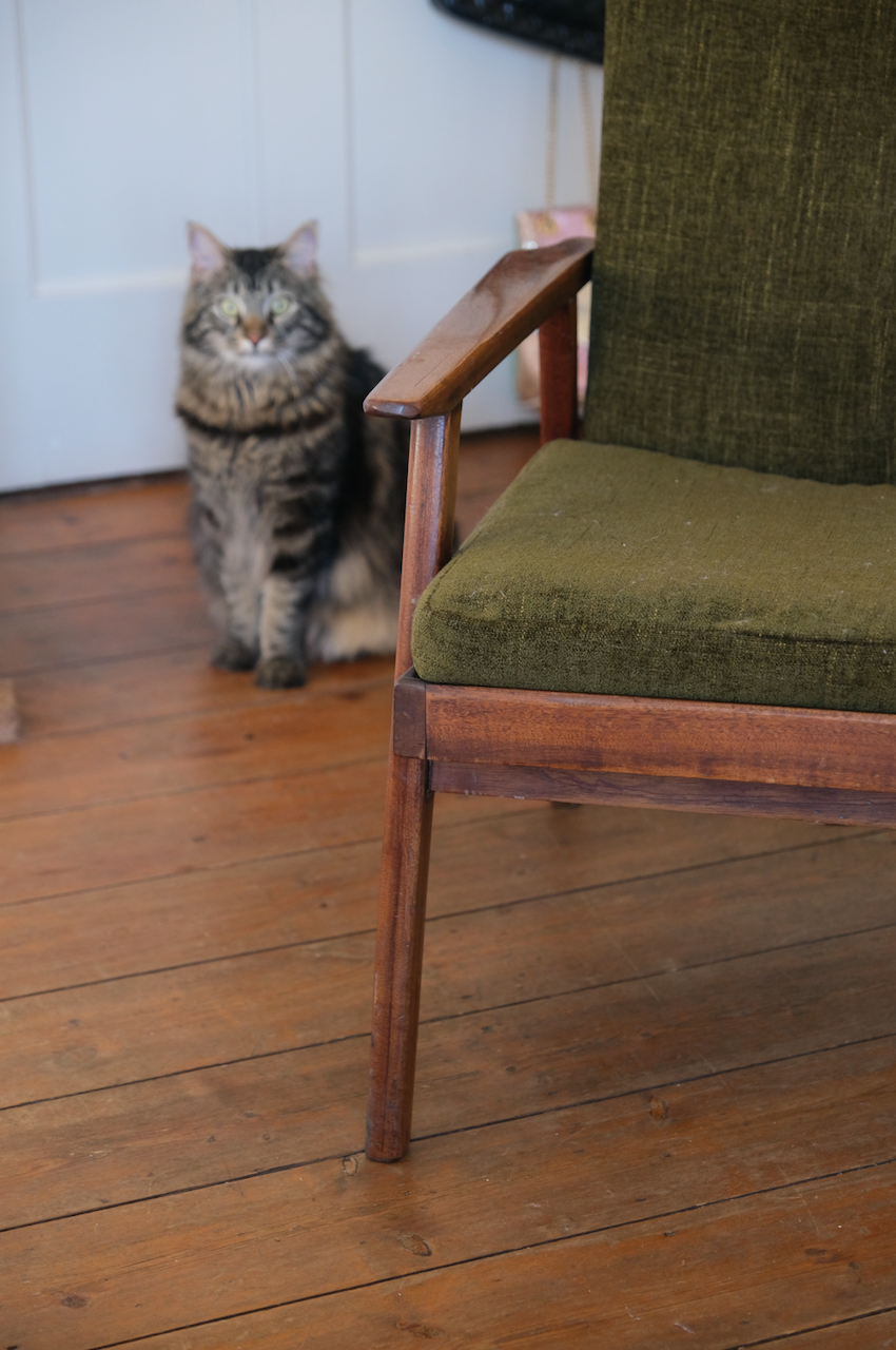 Mid-Century Modern green olive armchair