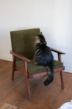 Load image into Gallery viewer, Mid-Century Modern green olive armchair
