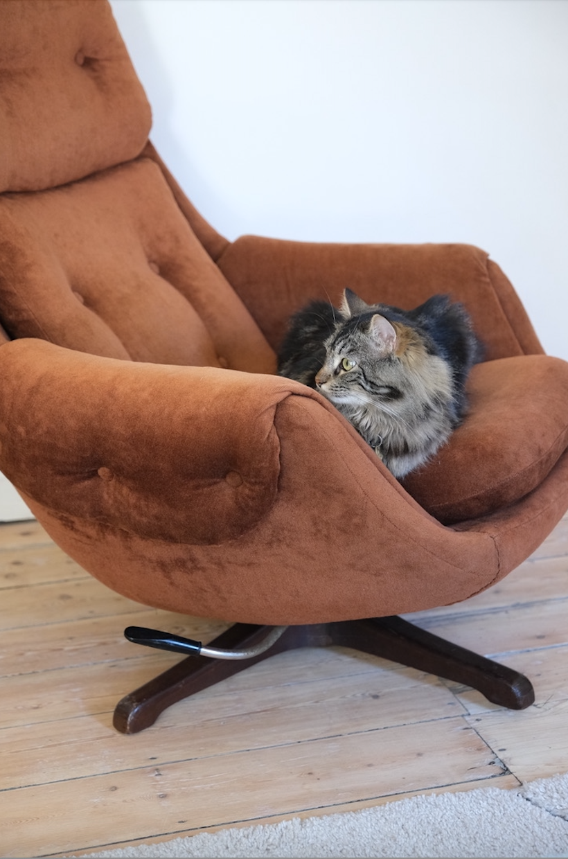 Swivel 60's burnt orange velvet chair