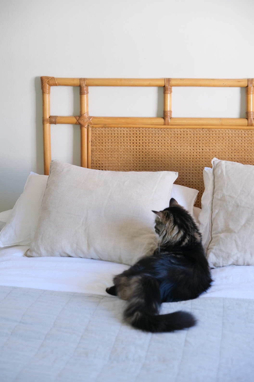 Cane and rattan headboard for double bed