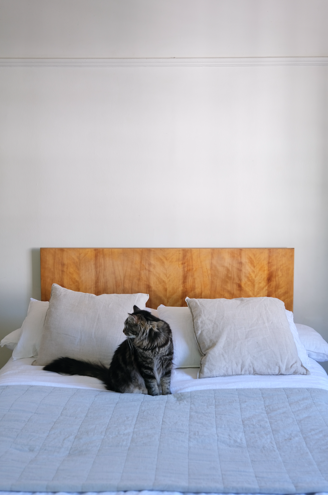 Shop headboards I Cape Town Maison Cape Town