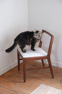 Mid-Century-Modern chair with light grey linen fabric